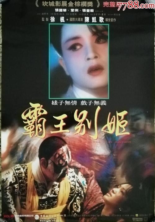 制作成人大专